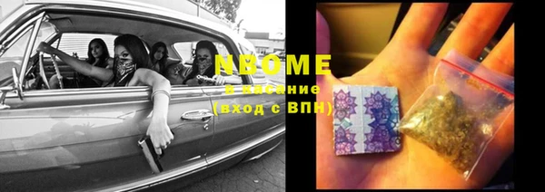 прущие грибы Горно-Алтайск