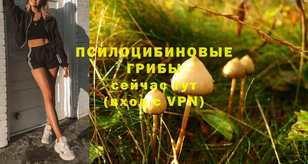 прущие грибы Горно-Алтайск
