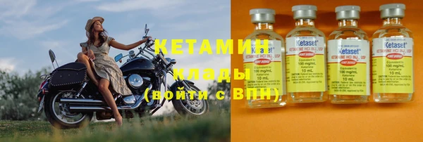 прущие грибы Горно-Алтайск