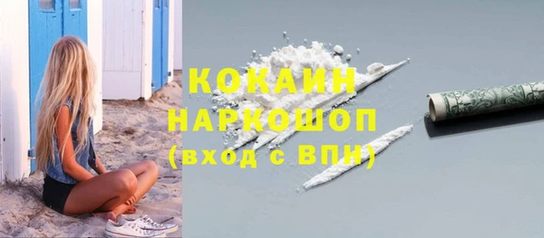 прущие грибы Горно-Алтайск