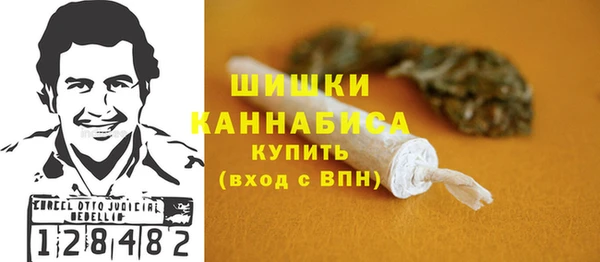 прущие грибы Горно-Алтайск