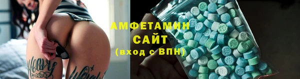 прущие грибы Горно-Алтайск