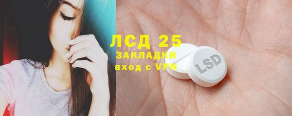 apvp Горняк