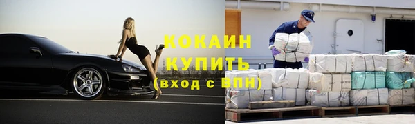 прущие грибы Горно-Алтайск