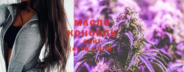 прущие грибы Горно-Алтайск