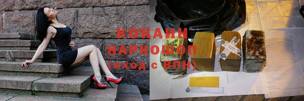 прущие грибы Горно-Алтайск