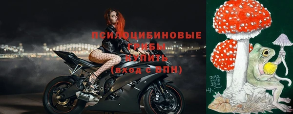 apvp Горняк