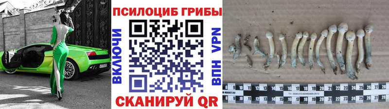 Галлюциногенные грибы мицелий Архангельск