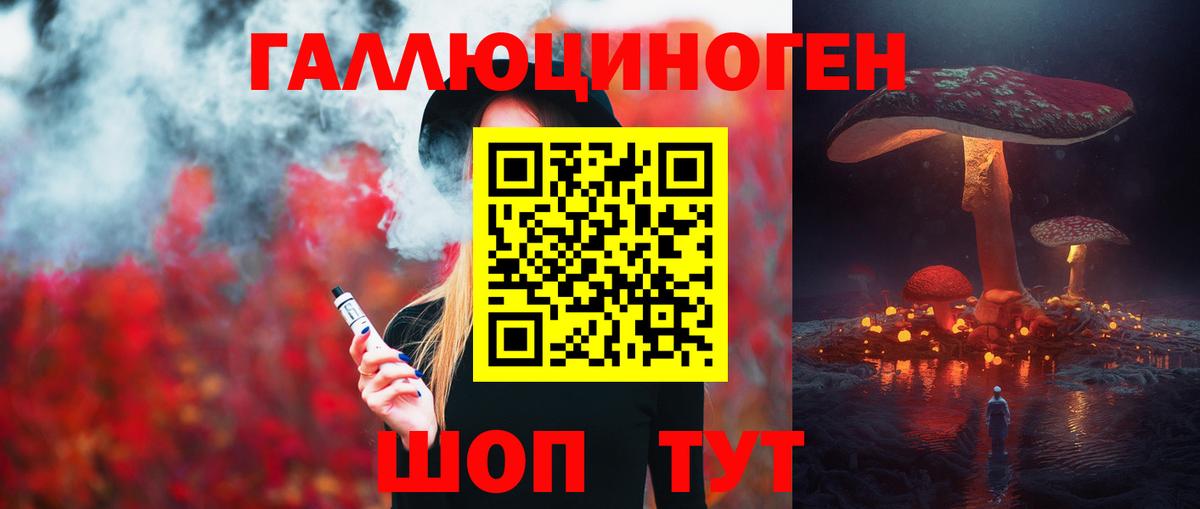 Псилоцибиновые грибы Psilocybine cubensis Архангельск